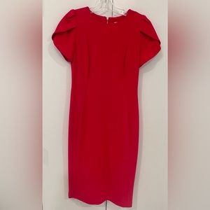 Calvin Klein Hot Pink Size 4 Dress